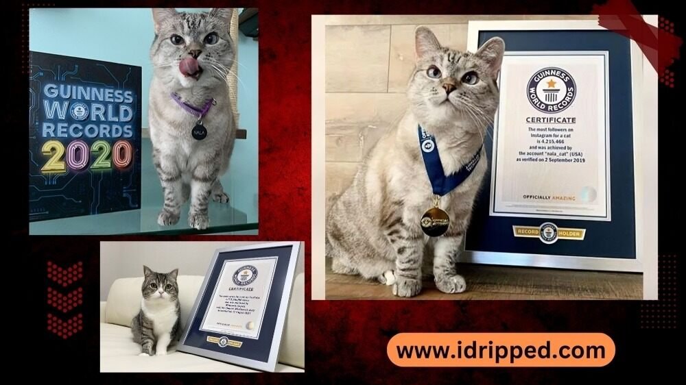 Nala's Guinness World Record