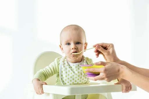 Top-Quality, Nutritious Baby Food: Ingredients, Benefits and Best Brands baby food